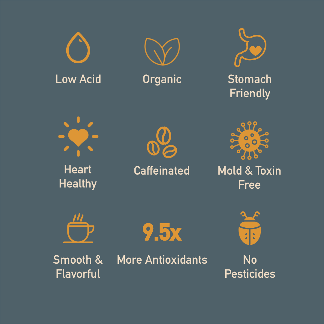 Healthy Bean Organic Superfood Coffee (Semi-Dark Roast)