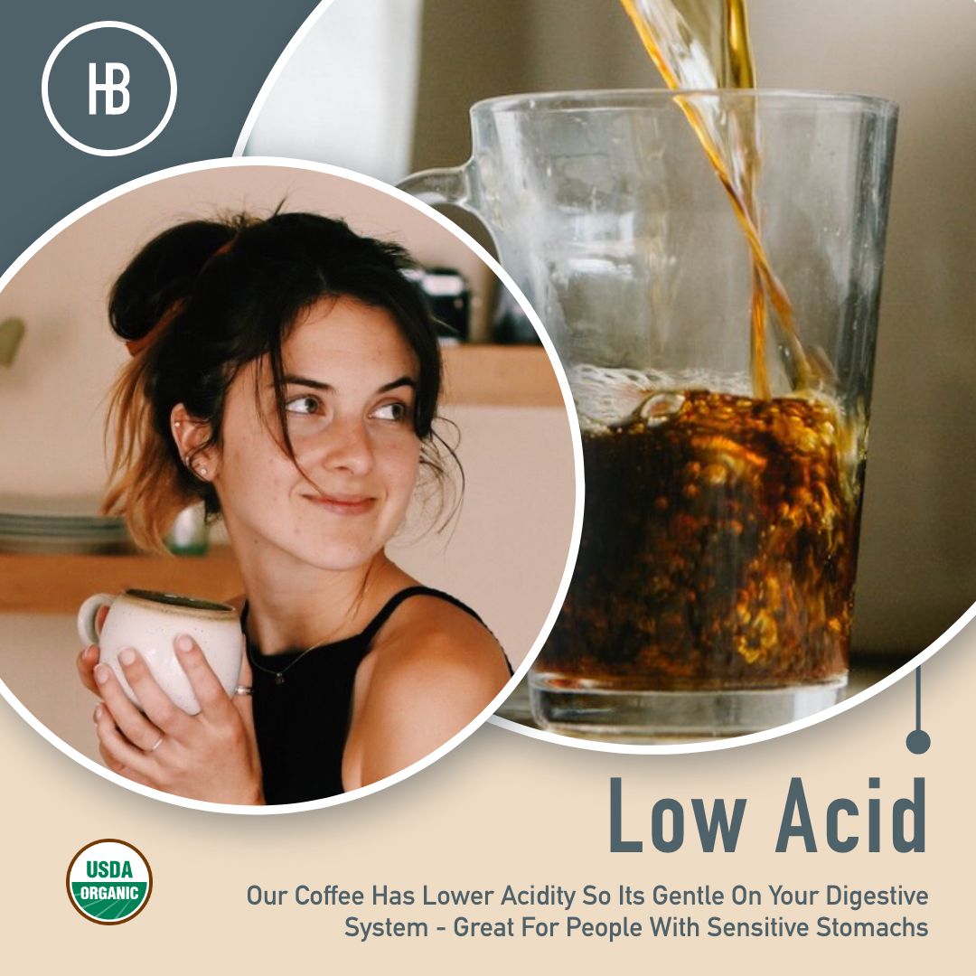 Healthy Bean | Thrive Morning Roast Coffee (Medium-Roast)