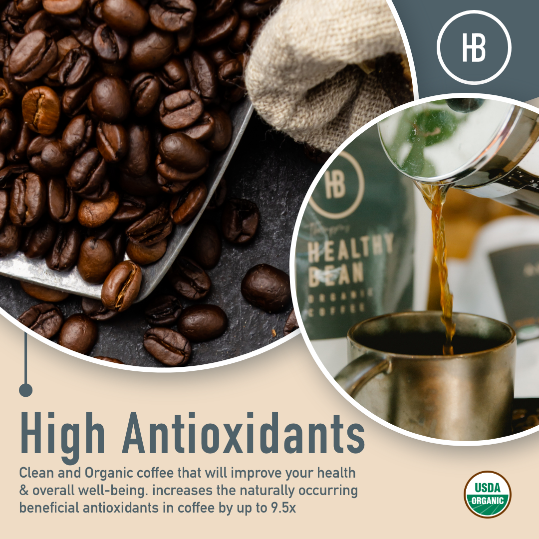 Healthy Bean | Thrive Morning Roast Coffee (Medium-Roast)